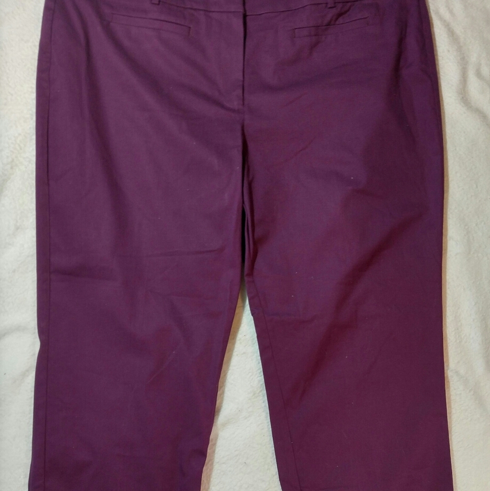 Womens Ann Taylor Curvy Plum Purple Pants Size 18